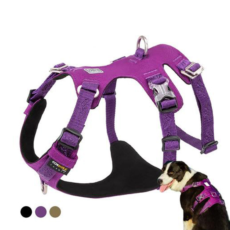 Truelove Pet Dog Harness Collar For Small Large Dogs Soft Escape Proof Dog  Halter Adjustable Harnais Truelove Chien Odblaskowe