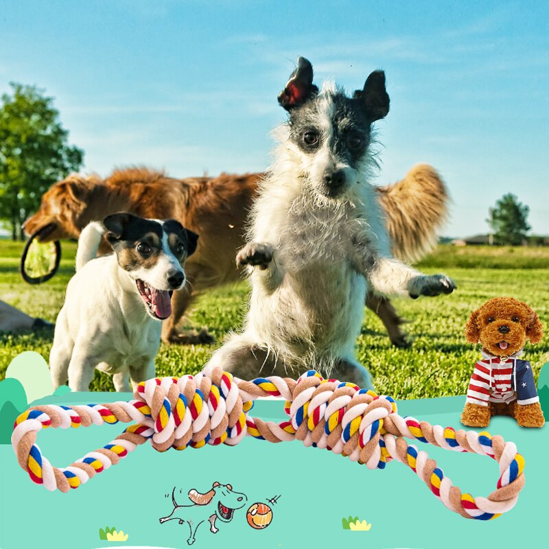 Petgoo Knot Rope with Double Loop Dog Toy