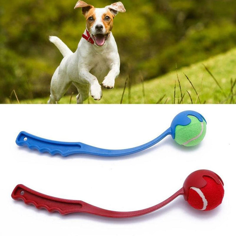 Dog Tennis Throw Ball Handle Pet Toys for Dog Chewing Toy Signature Mega Jumbo