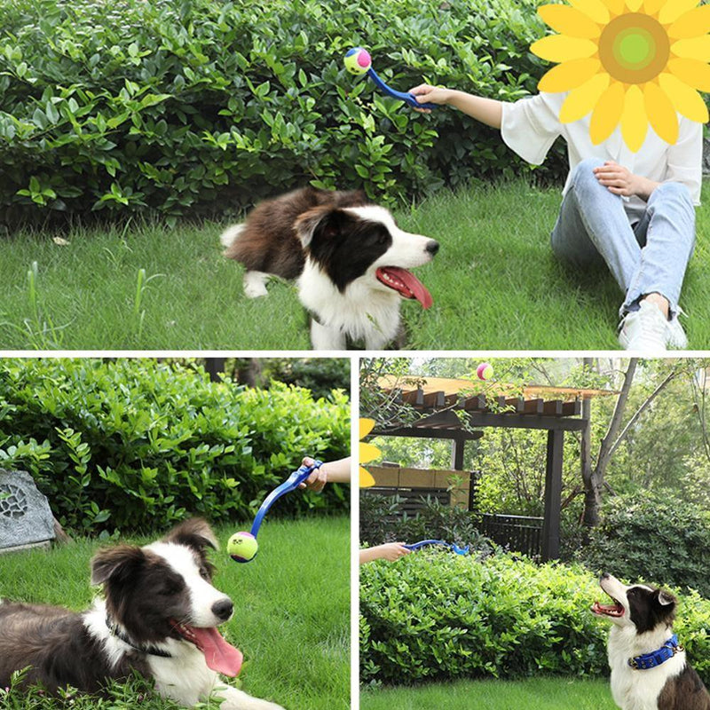 Dog Tennis Throw Ball Handle Pet Toys for Dog Chewing Toy Signature Mega Jumbo