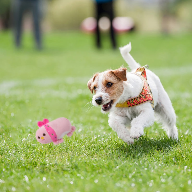 Plush Squeaky Bone Dog Toys Bite-Resistant Clean Dog Chew Puppy Training Toy