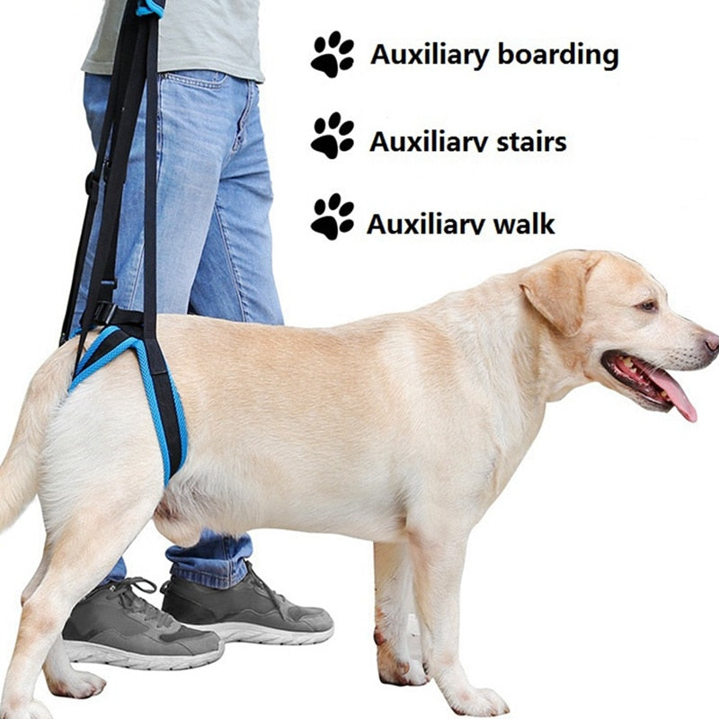 Dog Lift Harness for Back Legs Pet Support Sling Help Aid Assist Tool