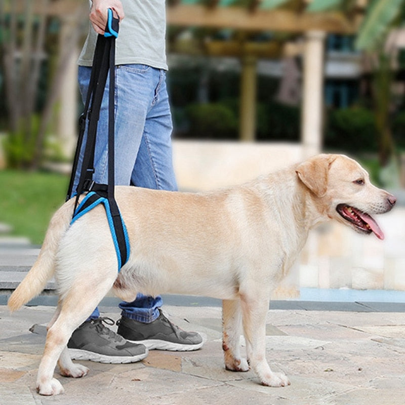 Dog Lift Harness for Back Legs Pet Support Sling Help Aid Assist Tool