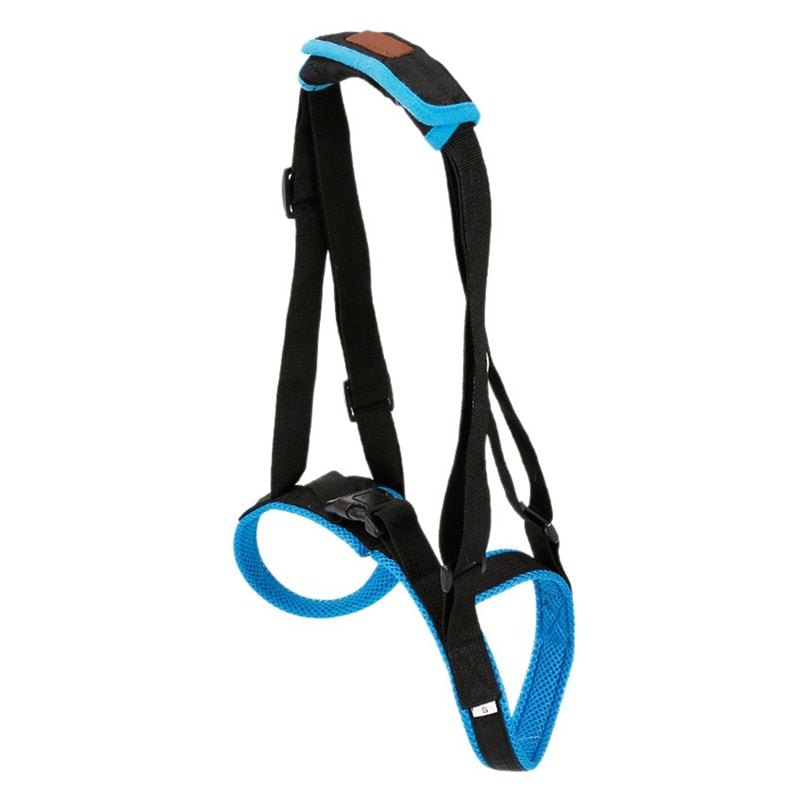 Dog Lift Harness for Back Legs Pet Support Sling Help Aid Assist Tool