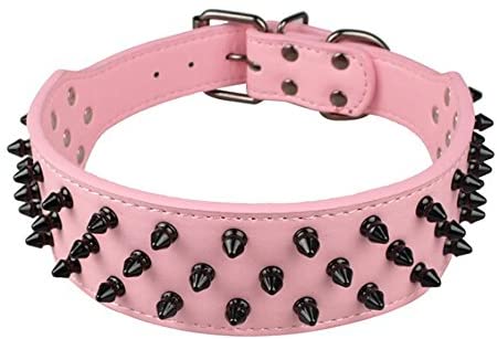 Dogs Kingdom Leather Black Spiked Studded Dog Collar 2" Wide, 31 Spikes 52 Studdeds Pit Bull, Boxer Collar