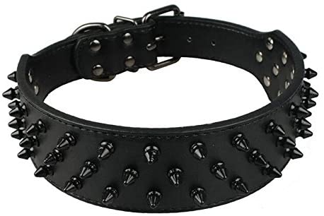 Dogs Kingdom Leather Black Spiked Studded Dog Collar 2" Wide, 31 Spikes 52 Studdeds Pit Bull, Boxer Collar