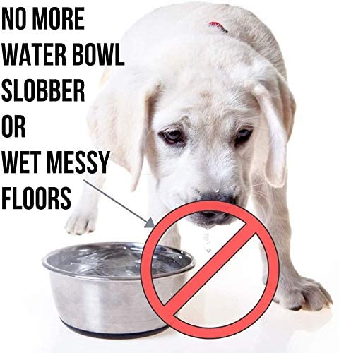 Road Refresher No Spill Dog Water Bowl for Home and Travel, No More Wet Floors or Splashes from Spills or Messy Jowl Drips