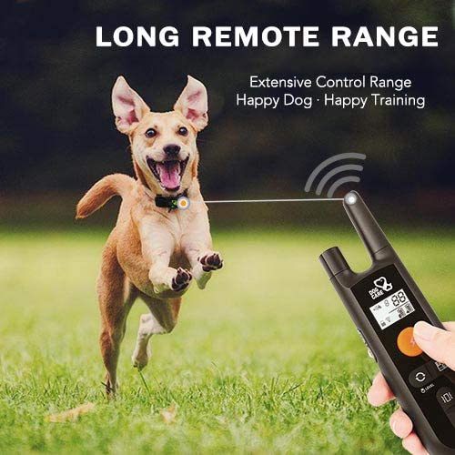 Dog Training Collar - Rechargeable Dog Shock Collar with Beep, Vibration and Shock Training Modes, Rainproof Training Collar, Long Remote Range, Adjustable Shock Levels Dog Training Set