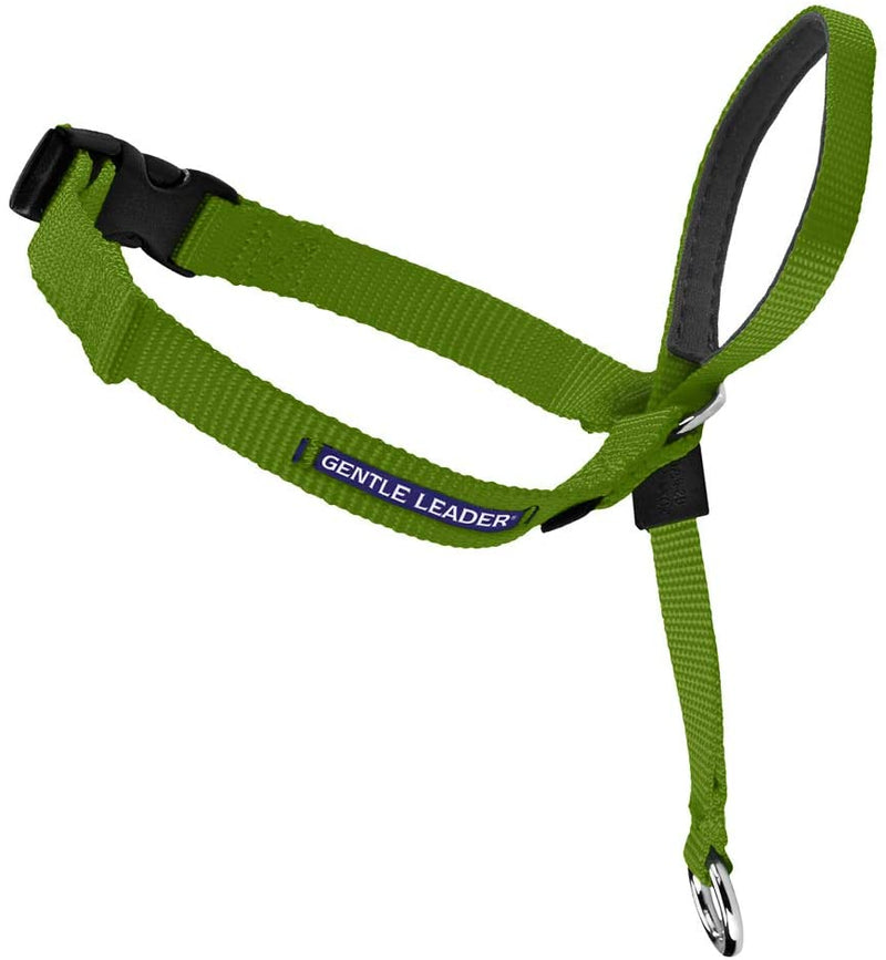 Gentle Leader Headcollar, No-Pull Dog Collar – Perfect for Leash & Harness Training – Stops Pets from Pulling and Choking on Walks – Works with Small, Medium and Large Dogs