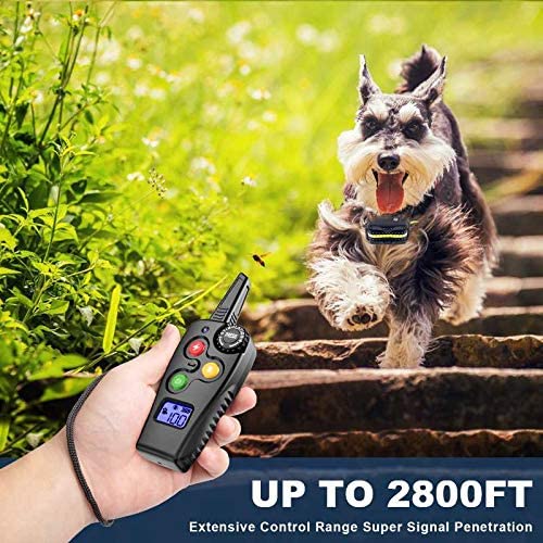 Collar for Dogs with Remote 2800 Feet Rechargeable Dog Training Collar Waterproof