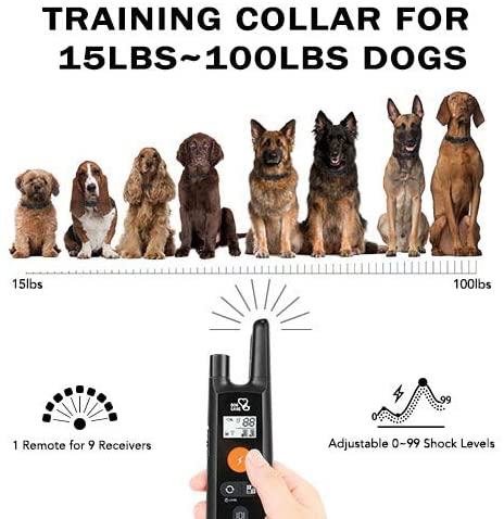 Dog Training Collar - Rechargeable Dog Shock Collar with Beep, Vibration and Shock Training Modes, Rainproof Training Collar, Long Remote Range, Adjustable Shock Levels Dog Training Set