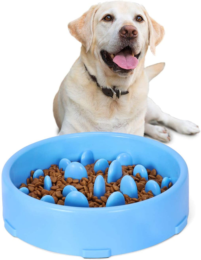 Slow Feeder Dog Bowl New Arriving Slow Feeding Interactive Bloat Stop Dog Bowls,Black,Medium