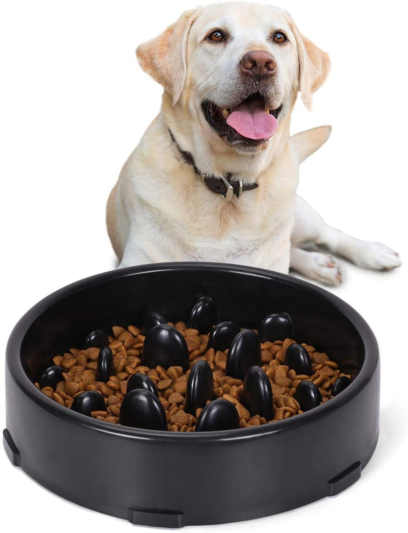 Slow Feeder Dog Bowl New Arriving Slow Feeding Interactive Bloat Stop Dog Bowls,Black,Medium