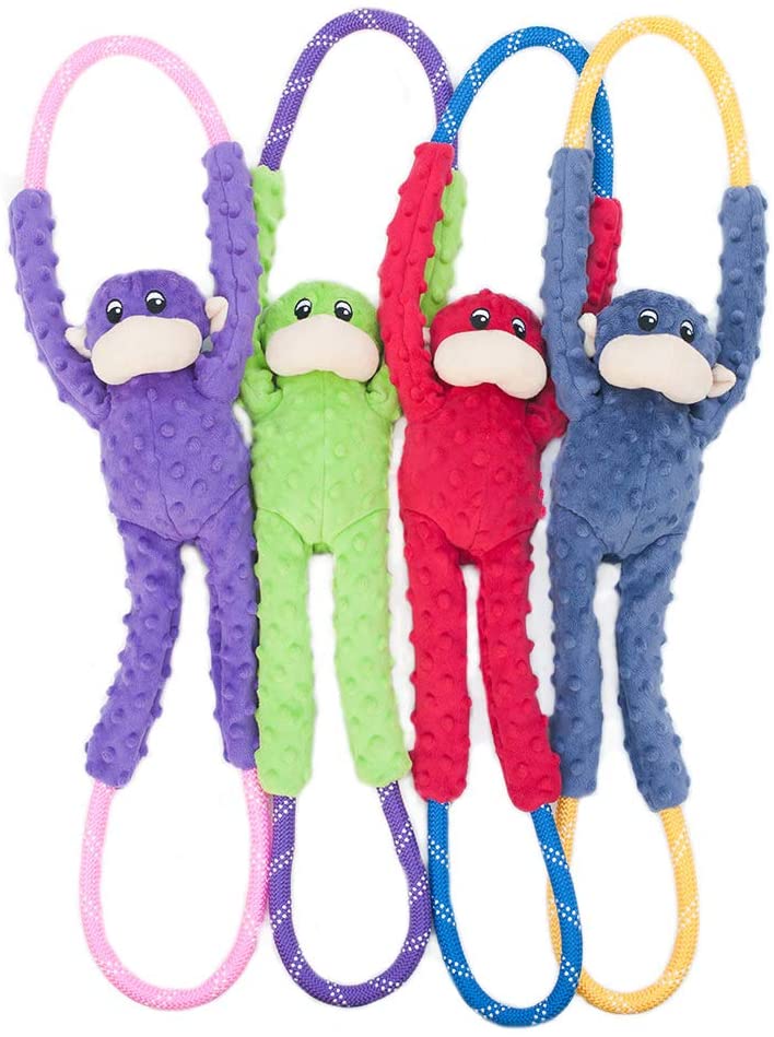 Monkey RopeTugz, Squeaky and Plush Rope Tug Dog Toy