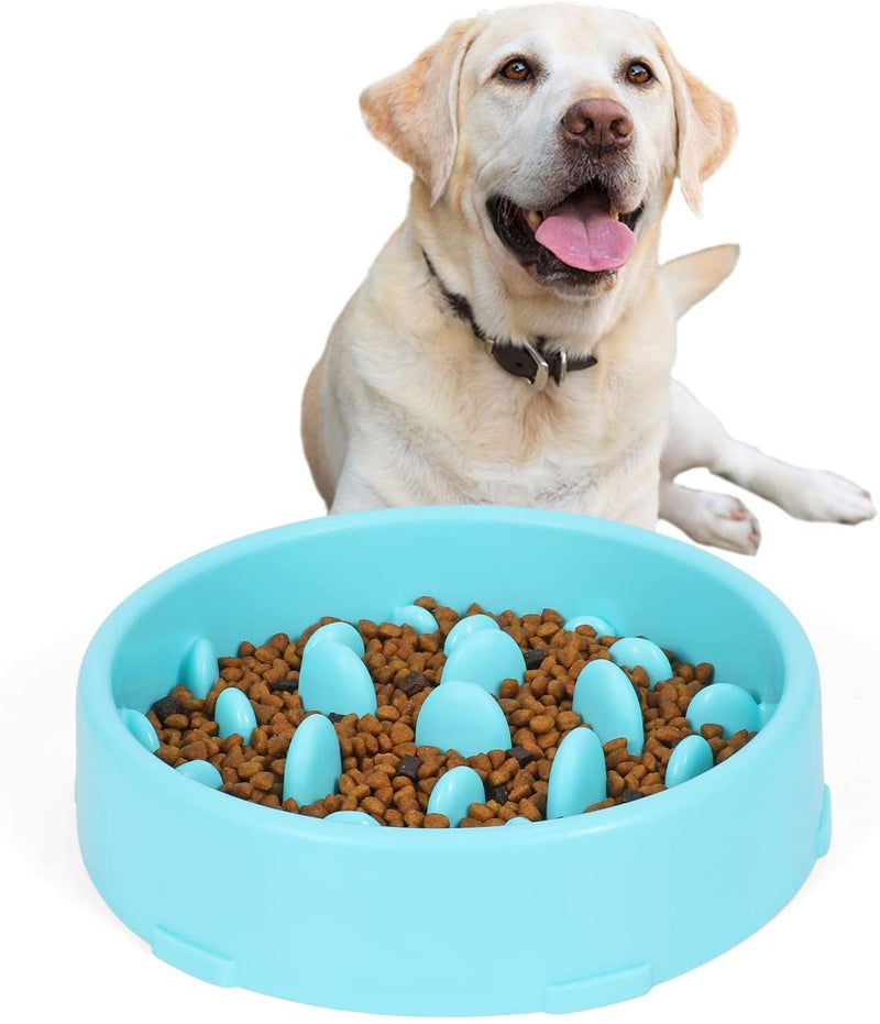 Slow Feeder Dog Bowl New Arriving Slow Feeding Interactive Bloat Stop Dog Bowls,Black,Medium