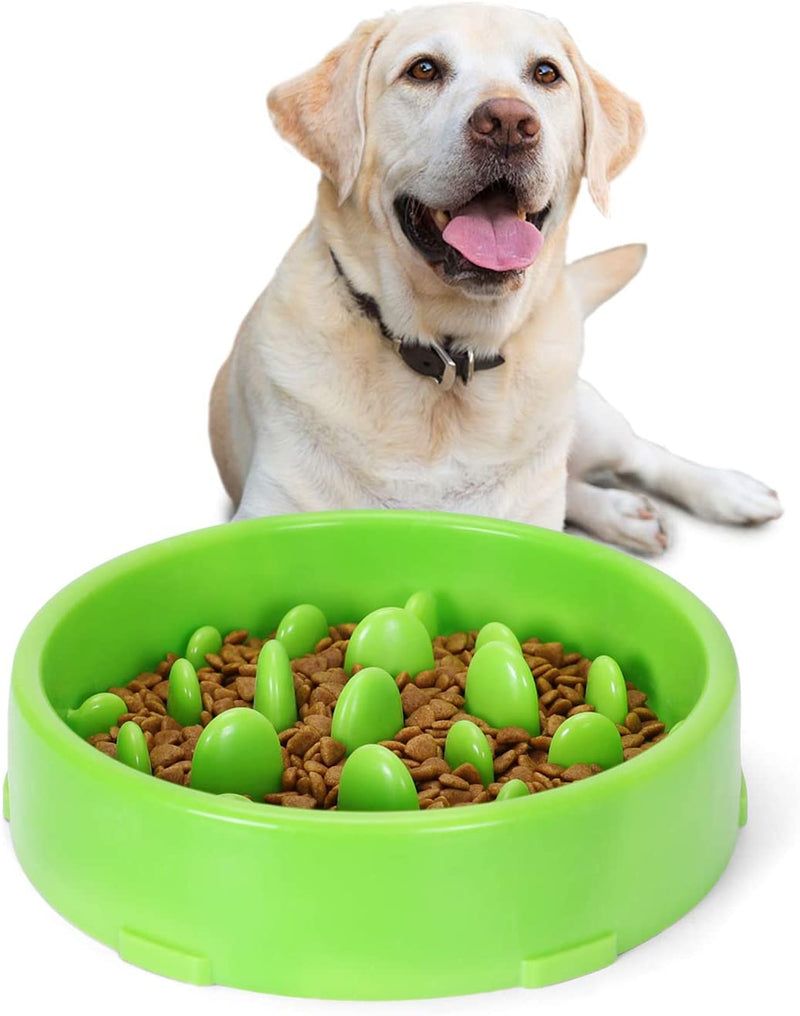 Slow Feeder Dog Bowl New Arriving Slow Feeding Interactive Bloat Stop Dog Bowls,Black,Medium