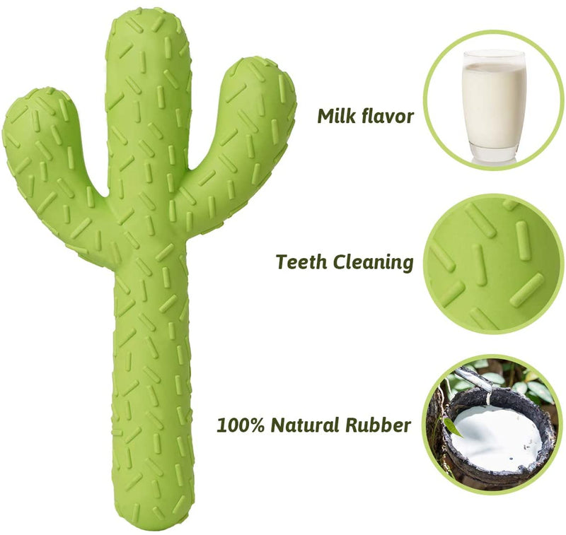 Dog Chew Toys, Durable Rubber Dog Toys for Aggressive Chewers, Cactus Tough Toys for Training and Cleaning Teeth, Interactive Dog Toys for Small/Medium Dog