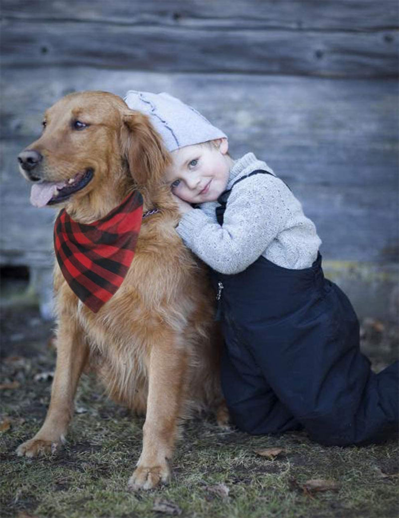 Dog Bandana Christmas Classic Plaid Pet Bandana Scarf Triangle Bibs Kerchief Set Pet Costume Accessories Decoration for Small Medium Large Dogs Cats Pets (S, Red Plaid + Green Plaid)