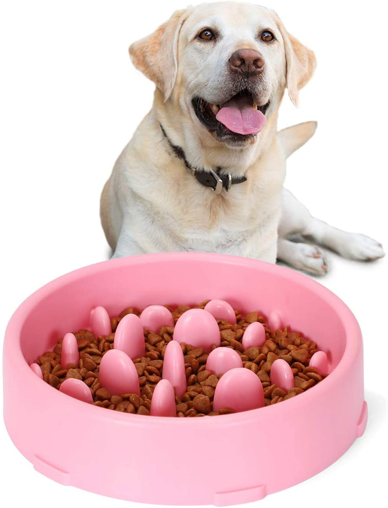 Slow Feeder Dog Bowl New Arriving Slow Feeding Interactive Bloat Stop Dog Bowls,Black,Medium