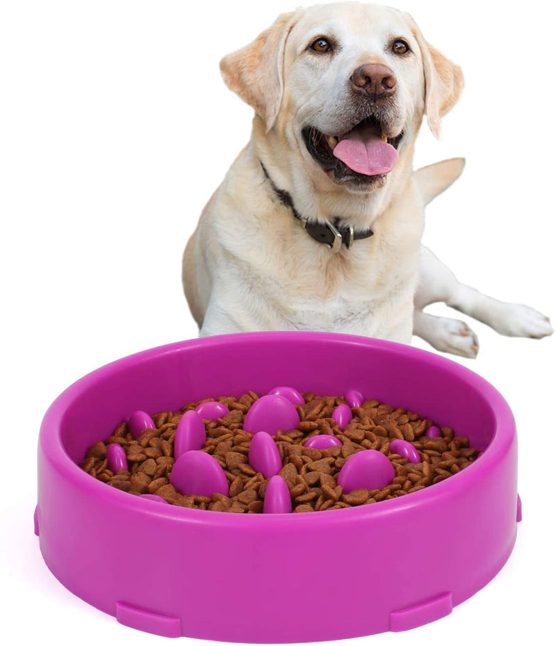 Slow Feeder Dog Bowl New Arriving Slow Feeding Interactive Bloat Stop Dog Bowls,Black,Medium