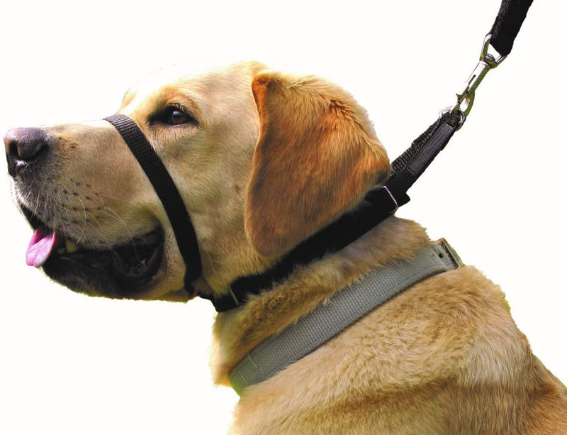 Collar for Dog Training and Walking Helps with Dog Training and Helps to Stop Dogs