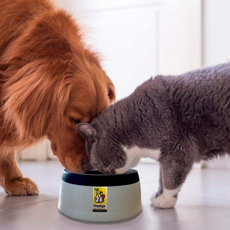 Road Refresher No Spill Dog Water Bowl for Home and Travel, No More Wet Floors or Splashes from Spills or Messy Jowl Drips