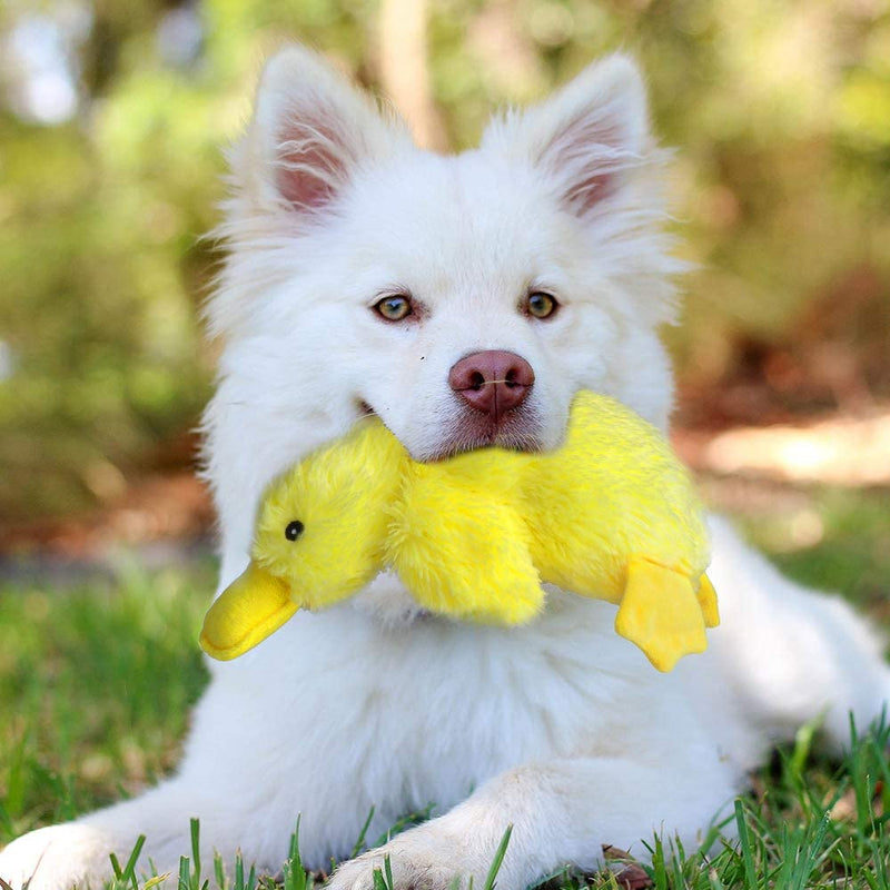 Pet Plush Squeaky Dog Toy Cute Duck Interactive Filler Chew Toys for Dogs Yellow