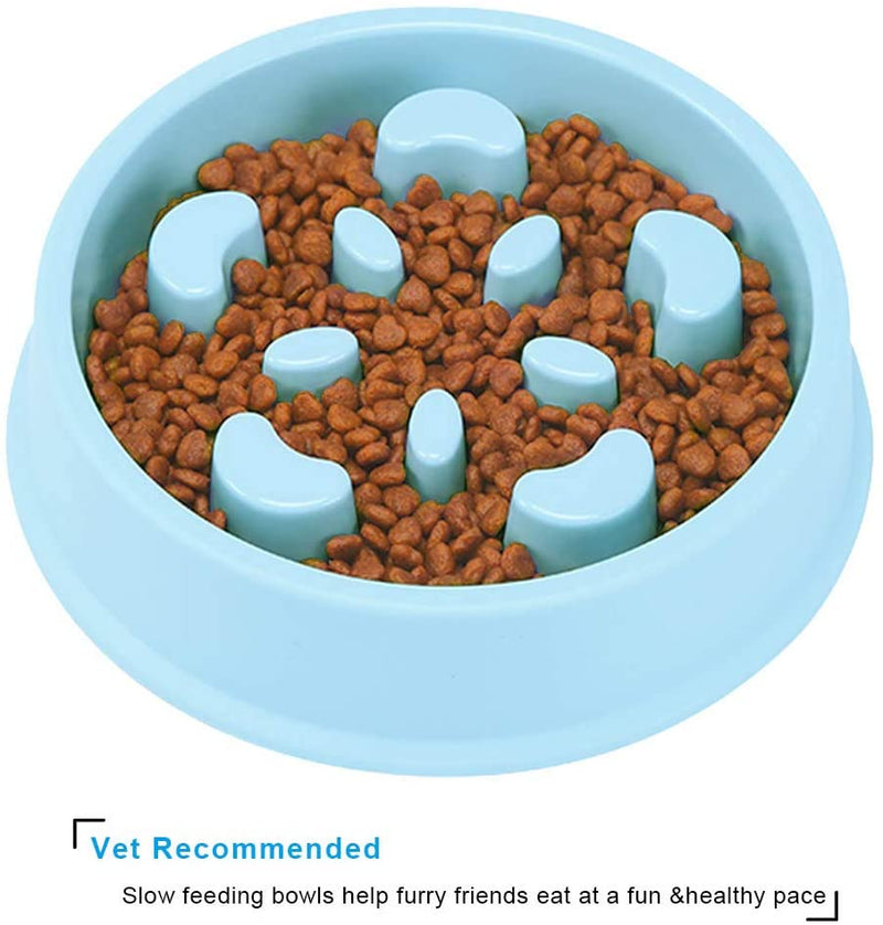 Slow Feeder Dog Bowl Fun Feeder No Chocking Slow Feeder Bloat Stop Dog Food Water Bowl with Funny Pattern