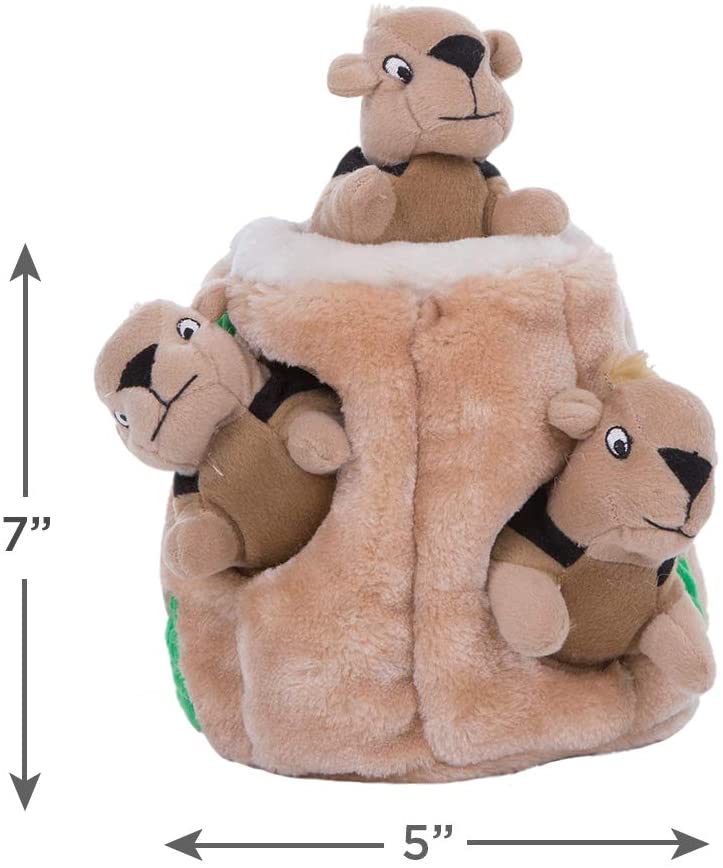 Squeaky Puzzle Plush Dog Toy - Hide and Seek Activity for Dogs