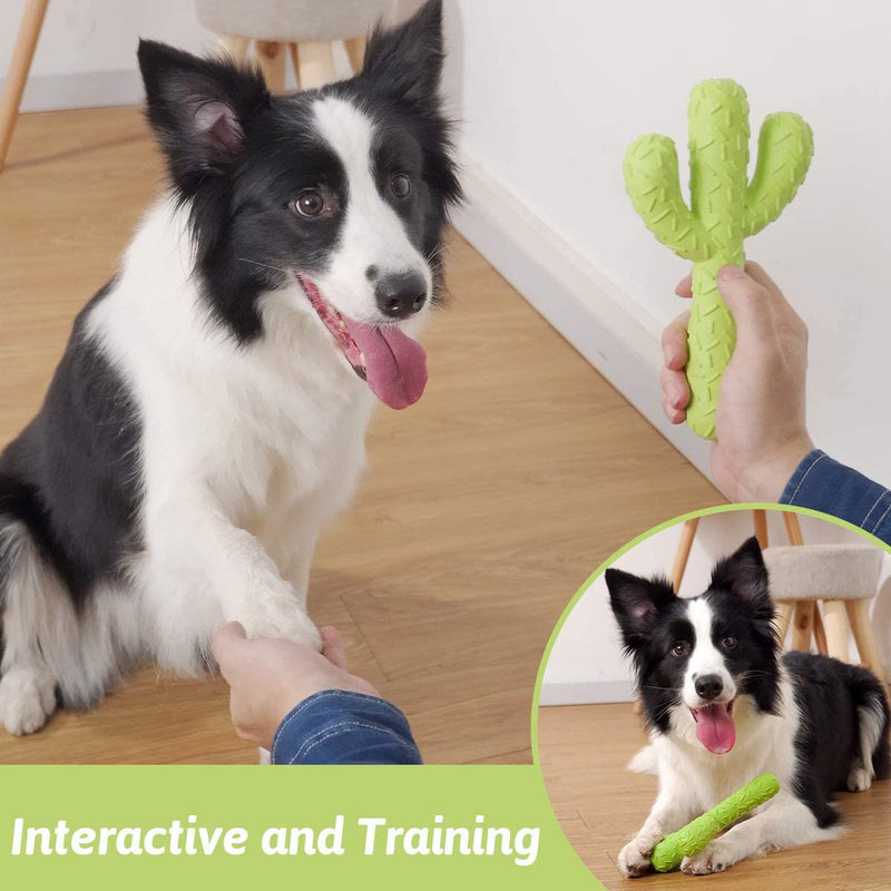 Dog Chew Toys, Durable Rubber Dog Toys for Aggressive Chewers, Cactus Tough Toys for Training and Cleaning Teeth, Interactive Dog Toys for Small/Medium Dog