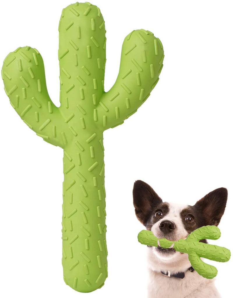 Dog Chew Toys, Durable Rubber Dog Toys for Aggressive Chewers, Cactus Tough Toys for Training and Cleaning Teeth, Interactive Dog Toys for Small/Medium Dog