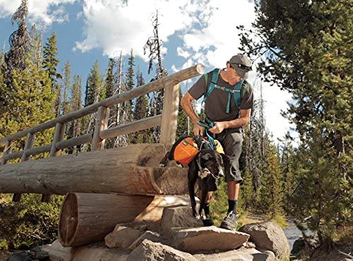 Dog Pack, Backpack for Hiking and Camping