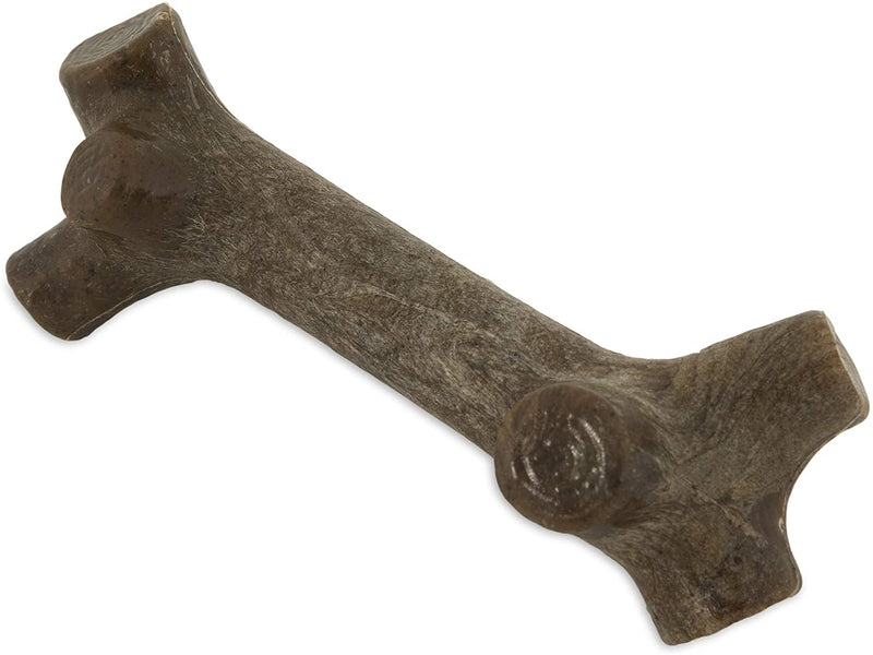 Pet Qwerks BarkBone Stick - For Aggressive Chewers