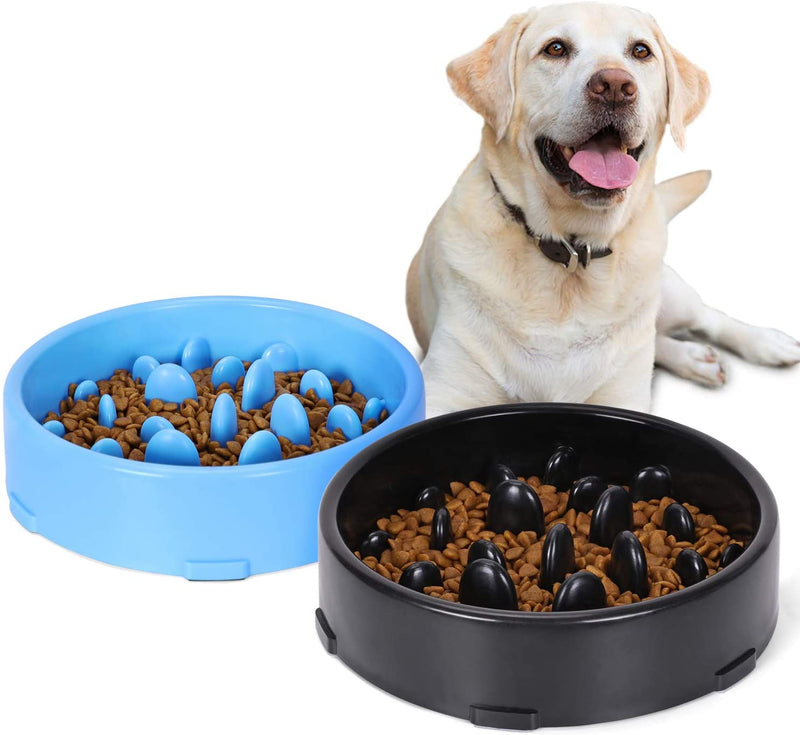 Slow Feeder Dog Bowl New Arriving Slow Feeding Interactive Bloat Stop Dog Bowls,Black,Medium