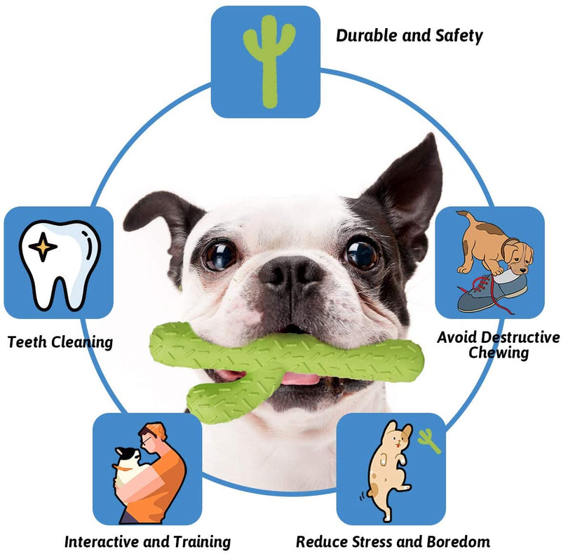 Dog Chew Toys, Durable Rubber Dog Toys for Aggressive Chewers, Cactus Tough Toys for Training and Cleaning Teeth, Interactive Dog Toys for Small/Medium Dog