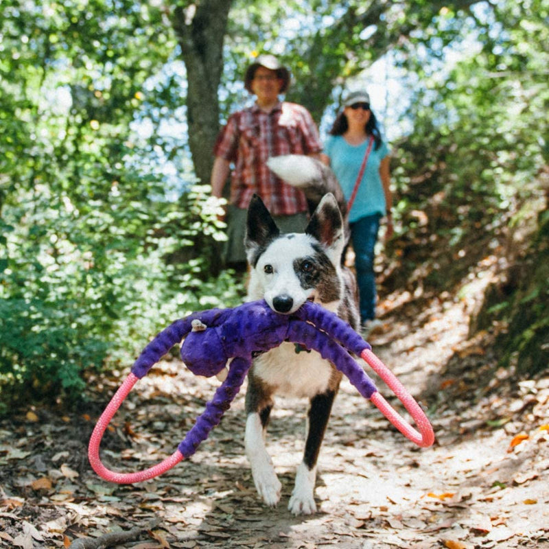 Monkey RopeTugz, Squeaky and Plush Rope Tug Dog Toy