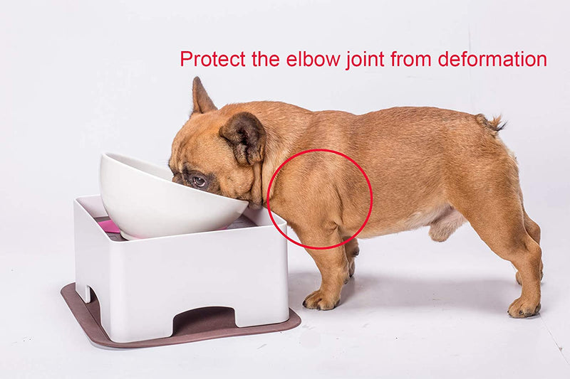 Elevated Tilted Dog Bowls Set with Adjustment Bracket,Ceramics Single Food Feeding Dish for Flat Face Dogs, Double Non-Slip Design