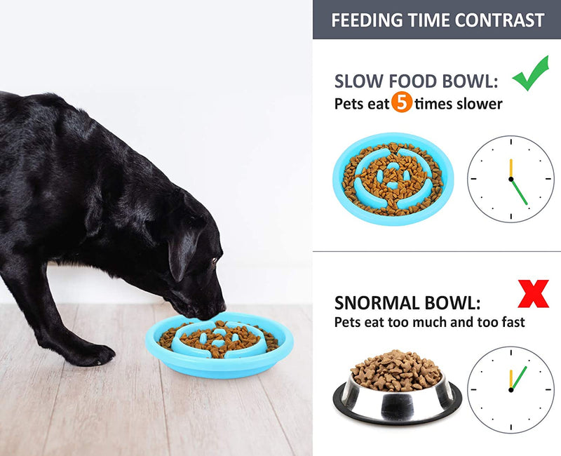 Dog Bowl Slow Feeder Bloat Stop Pet Bowl Fun Feeder Eco-Friendly Non-Toxic No Choking Healthy Design Bowl with No-Spill Non-Skid Silicone Mat Stainless Steel Water Bowl for Dogs Cats and Pets