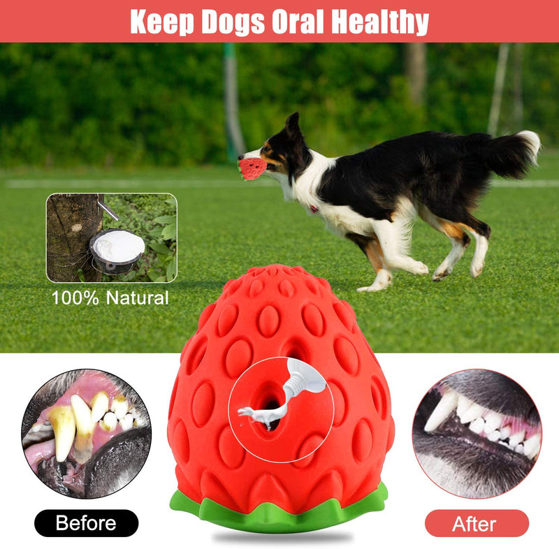 Dog Chew Toys for Aggressive Chewers Large Breed - Indestructible Dog Toys for Medium Large Dogs, Tough Dog Toothbrush Interactive Puppy Toys for Teething (15-65lbs)