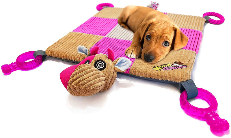 Puppy Toy Mat with Teething Chew Toys (20” x 20”) - Ropes, Squeaker Nose, Plush Padded Sleeping Mat – Durable and Machine Washable - Comfort and Fun, All-in-One