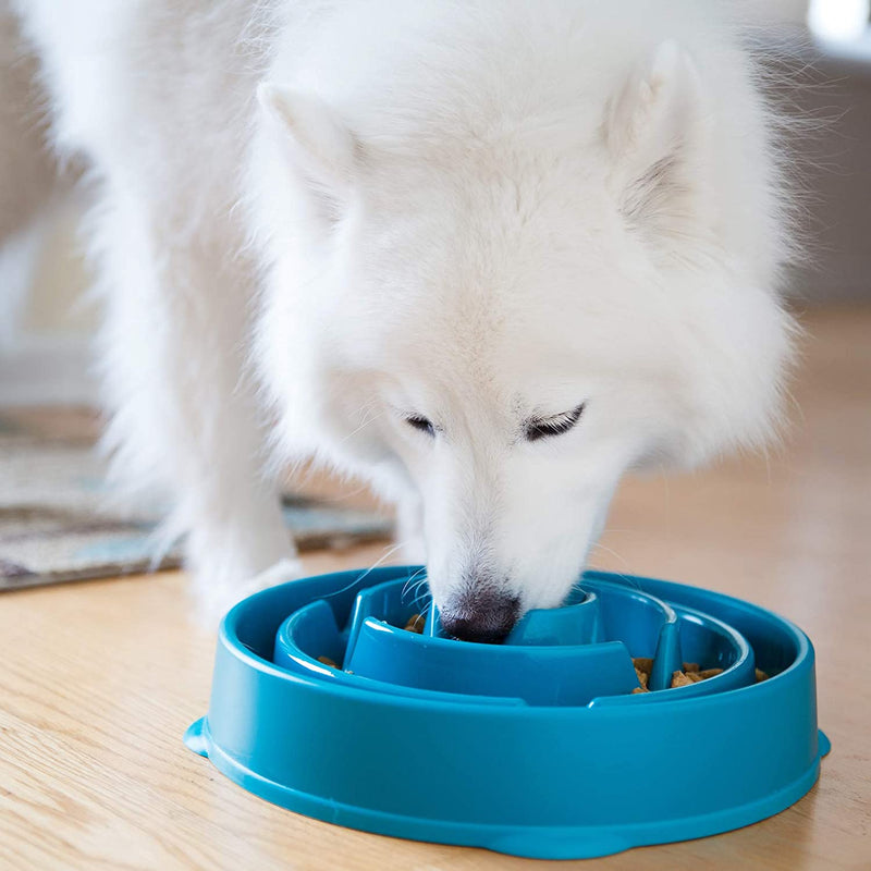 Fun Feeder Slo Bowl - Slow Feeder Dog Bowl