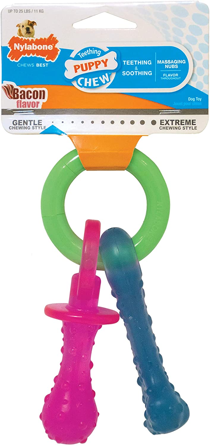 Nylabone Puppy Chew Teething Pacifier