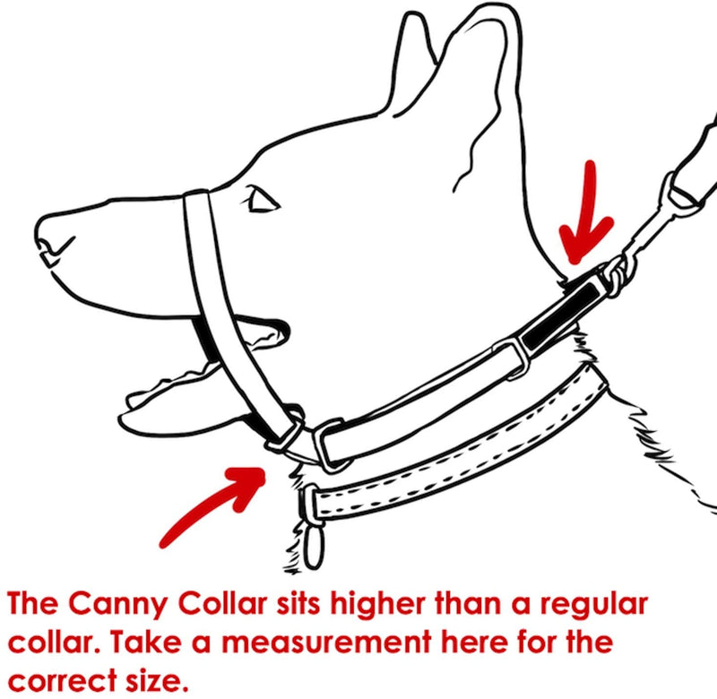 Collar for Dog Training and Walking Helps with Dog Training and Helps to Stop Dogs