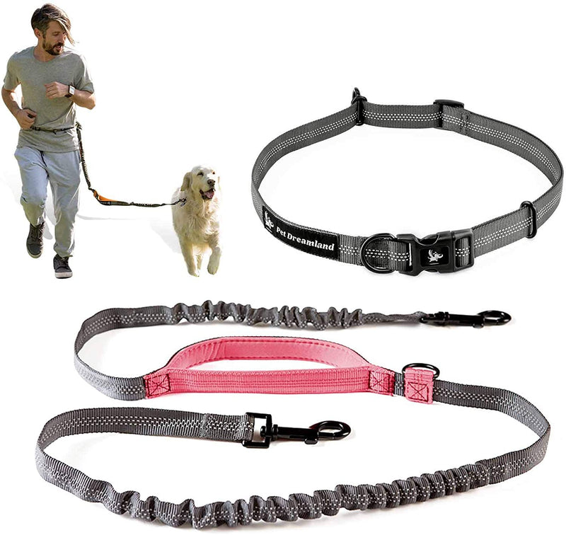 Pet Dreamland Hands Free Dog Leash for Running, Walking, Hiking, Cycling and Training. Bungee Harness, Adjustable Waist Belt, Single or Double Handle, Reflective Stitching. Small, Medium, Large Dogs