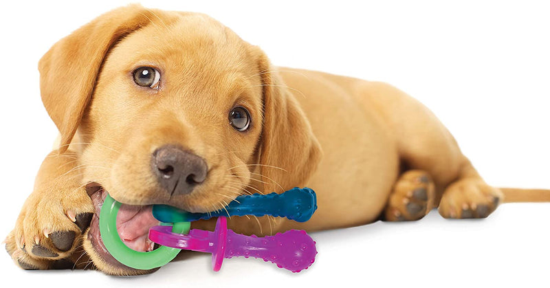 Nylabone Puppy Chew Teething Pacifier