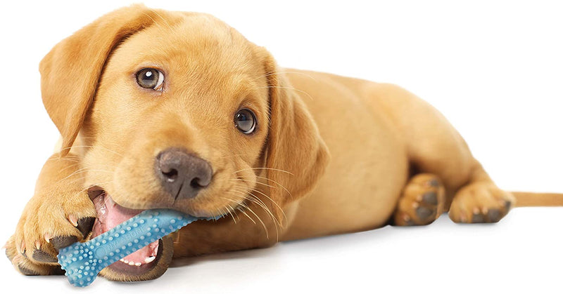 Puppy Teething & Soothing Flexible Chew Toy