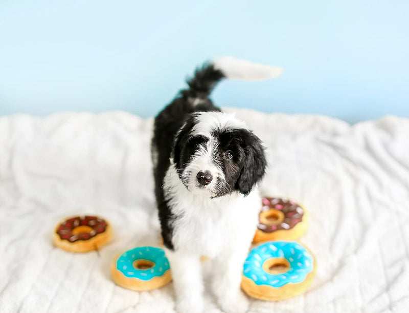 Donutz Squeaky Plush Dog Toy