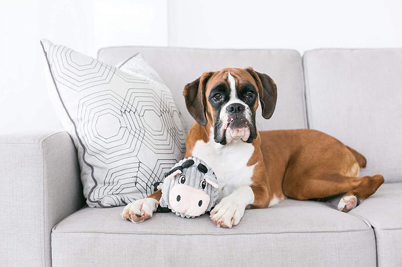 Fattiez Round Squeaky Plush Toy by Outward Hound