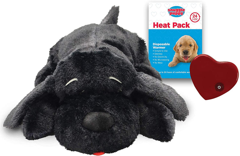 Puppy Behavioral Aid Toy