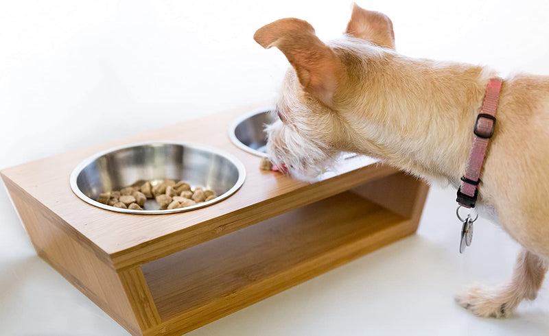 Dog and Cat Pet Feeder, Double Bowl Raised Stand Comes with Extra Two Stainless Steel Bowls. Perfect for Small Dogs and Cats